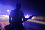 Gallery image 23