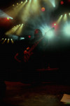 Gallery image 21