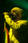 Gallery image 8