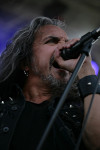 Gallery image 20