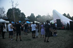 Gallery image 36