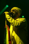 Gallery image 10