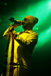 Gallery image 21