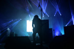 Gallery image 11