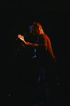 Gallery image 14