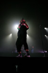 Gallery image 11
