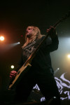Gallery image 38