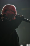 Gallery image 27