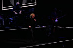 Gallery image 20