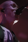Gallery image 101