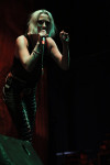 Gallery image 31