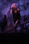 Gallery image 12