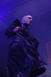 Gallery image 27