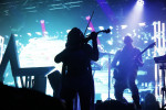 Gallery image 29