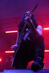 Gallery image 25