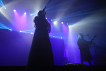 Gallery image 10