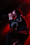 Gallery image 35