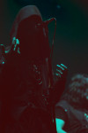 Gallery image 30