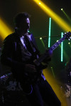 Gallery image 101