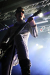 Gallery image 21