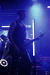 Gallery image 11