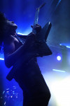 Gallery image 38