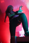 Gallery image 30