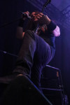Gallery image 37