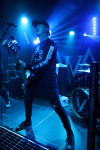 Gallery image 37