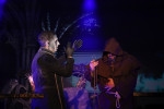 Gallery image 38