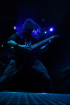Gallery image 30