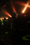 Gallery image 52