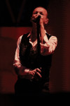 Gallery image 11