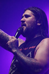 Gallery image 38