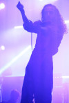 Gallery image 26