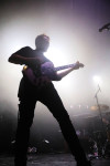 Gallery image 21