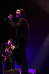 Gallery image 11