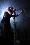 Gallery image 39