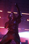 Gallery image 27