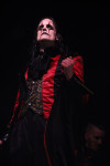 Gallery image 75