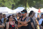 Gallery image 53