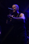 Gallery image 24
