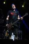 Gallery image 30