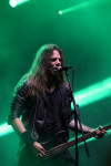 Gallery image 30