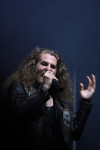 Gallery image 21