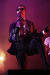 Gallery image 38
