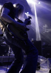 Gallery image 30