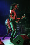 Gallery image 34