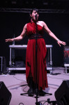Gallery image 22