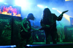 Gallery image 24